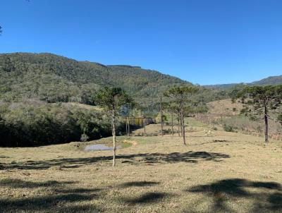 Stio para Venda, em Rancho Queimado, bairro Mato Frans